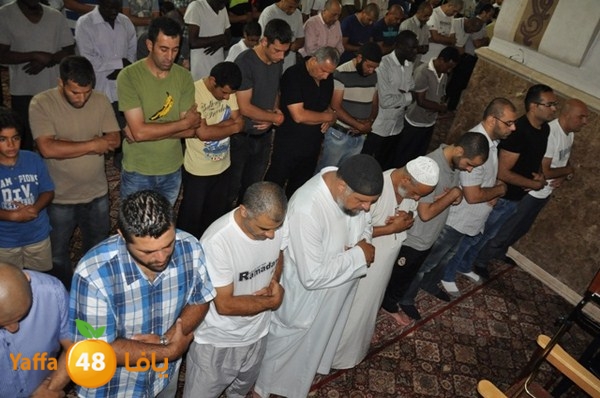 trawe7 mahmodiya 713 (19).JPG